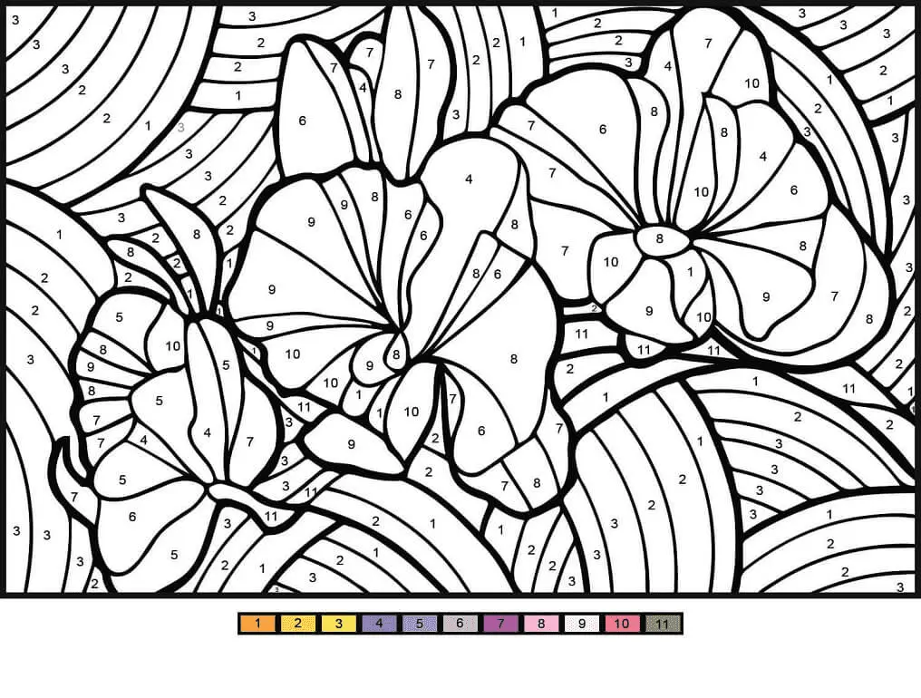 Color by Number Coloring Pages 64