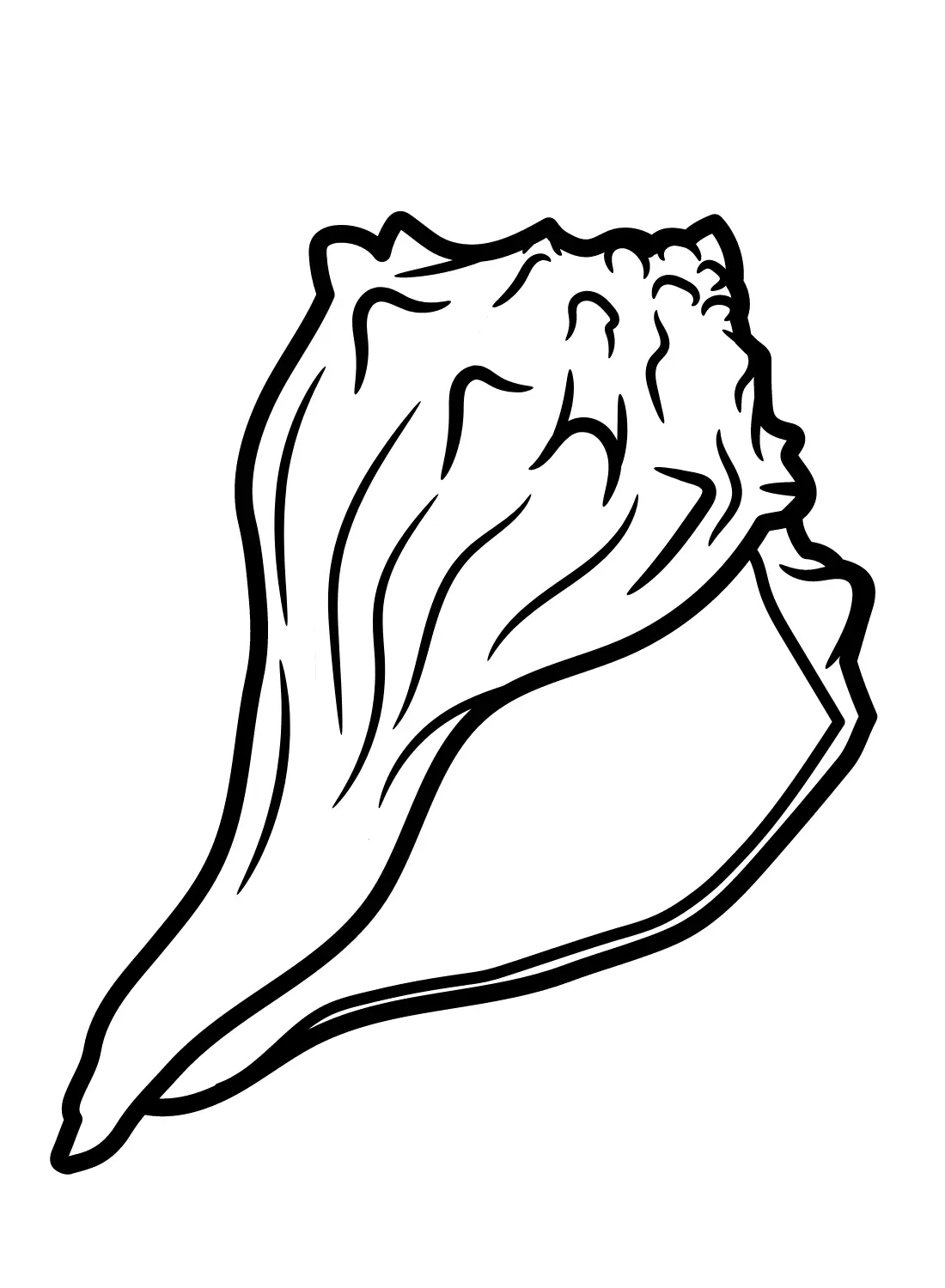 Conch Coloring Pages 15