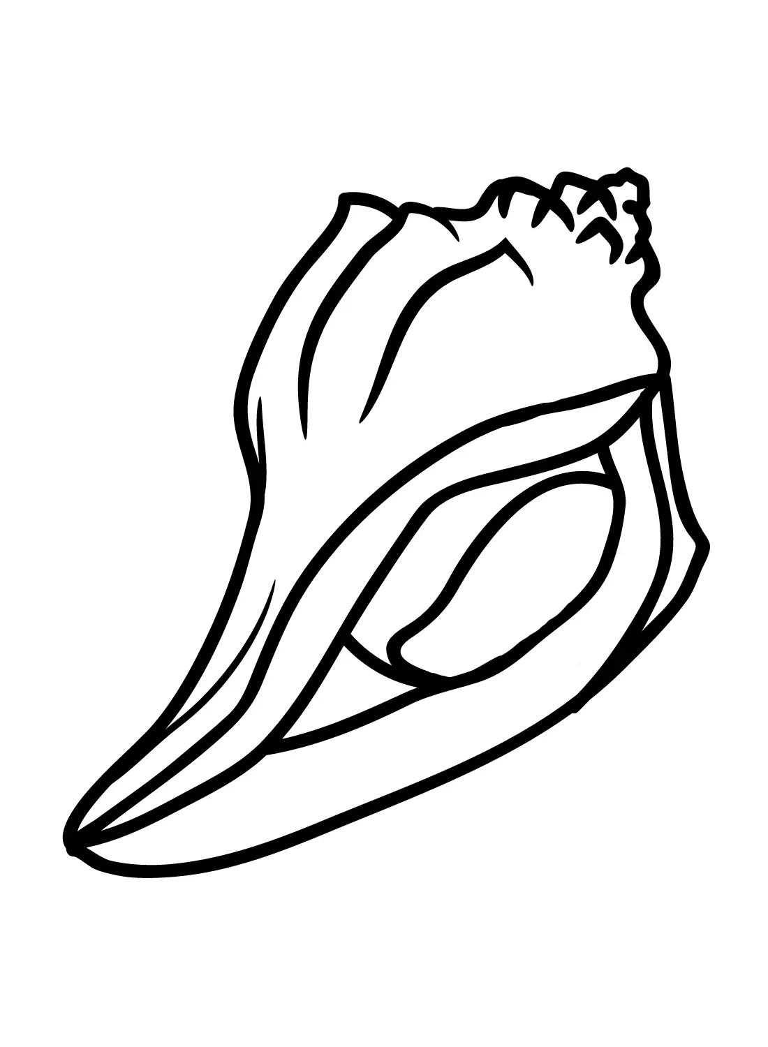 Conch Coloring Pages 5