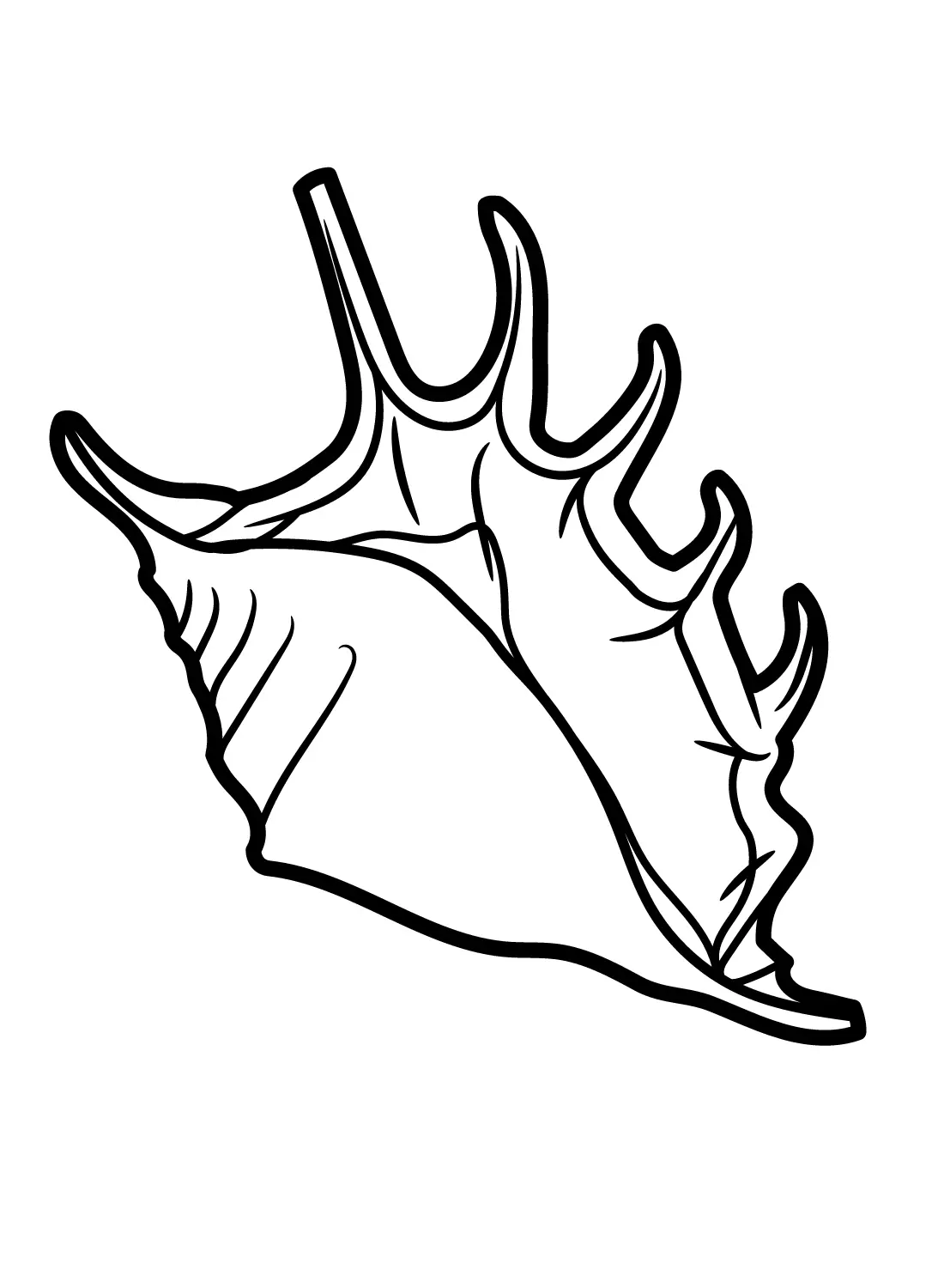 Conch Coloring Pages 6