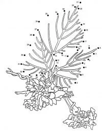 Desenhos de desenhos de Ligar Os Pontos Para Colorir 42