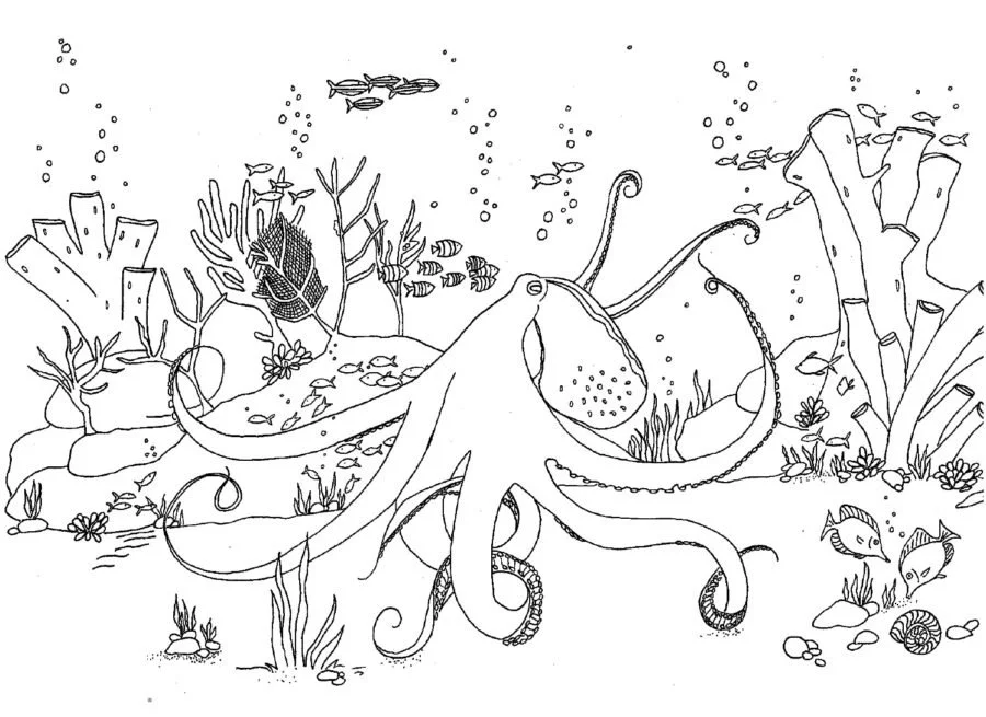 Coral Reef Coloring Pages 63