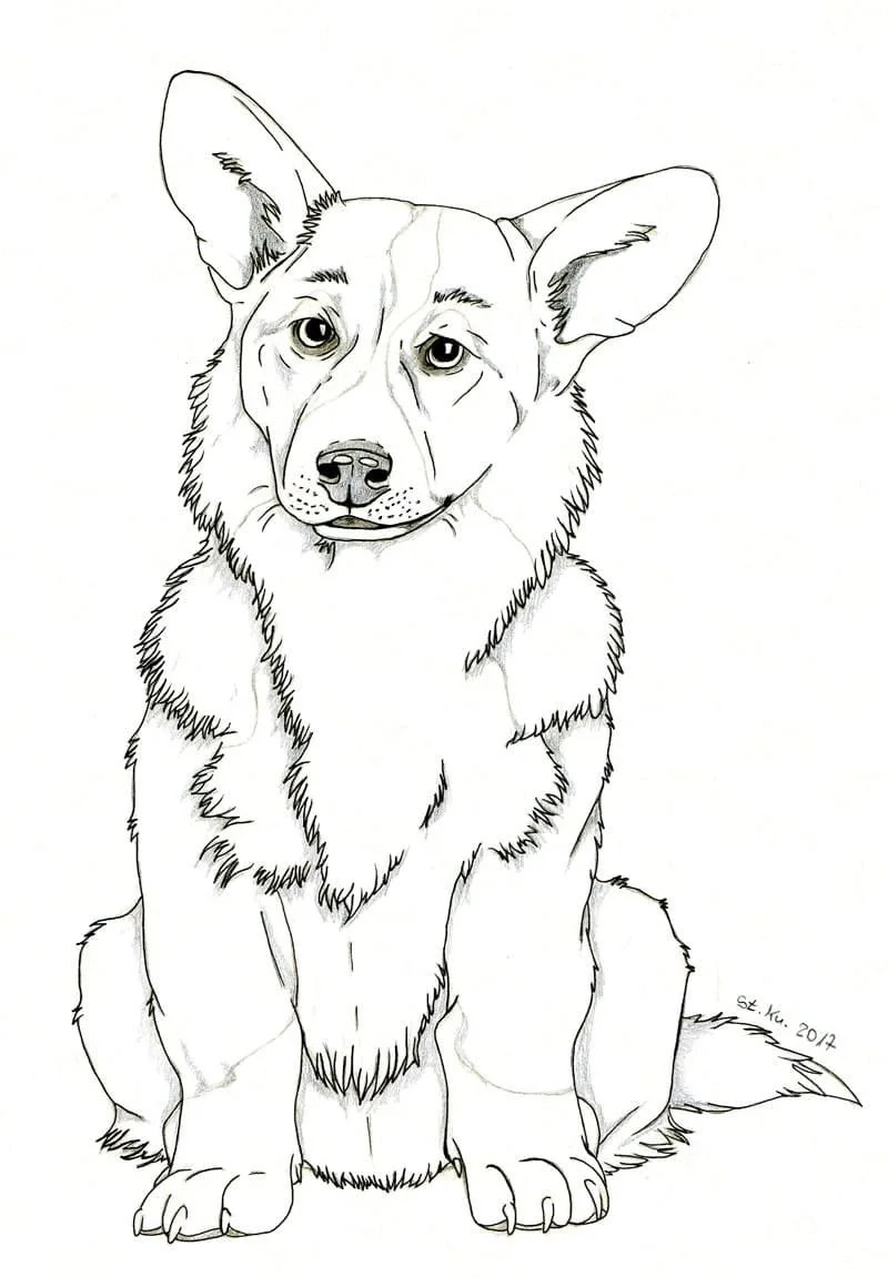 Corgi Coloring Pages 25