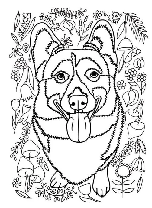 Corgi Coloring Pages 31