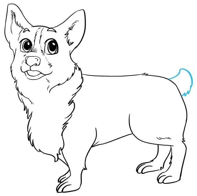 Corgi Coloring Pages 36