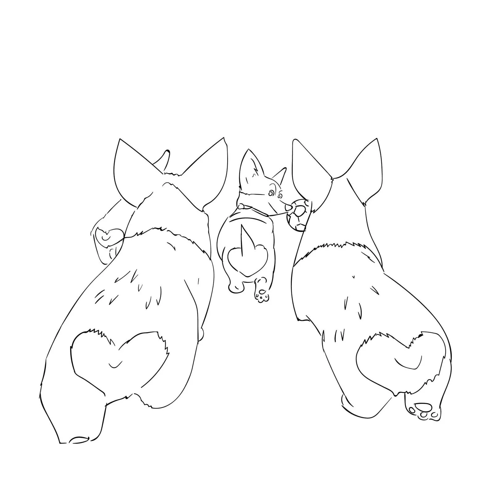 Corgi Coloring Pages 53