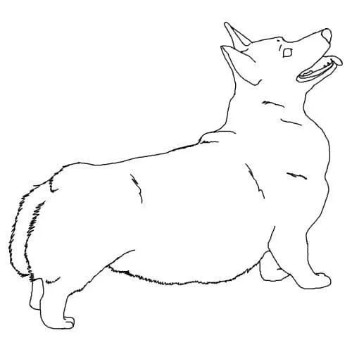 Corgi Coloring Pages 55