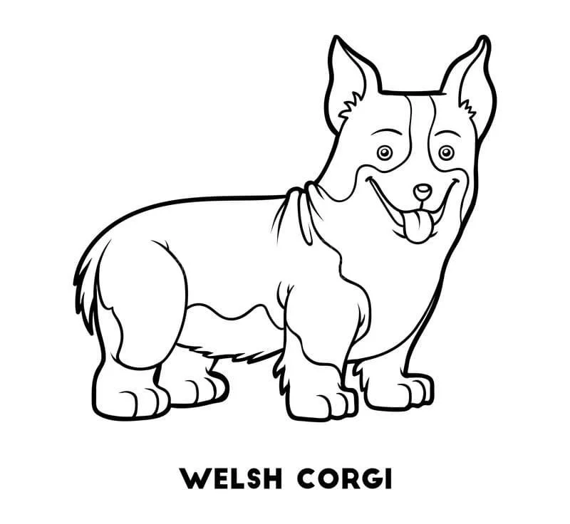 Corgi Coloring Pages 56