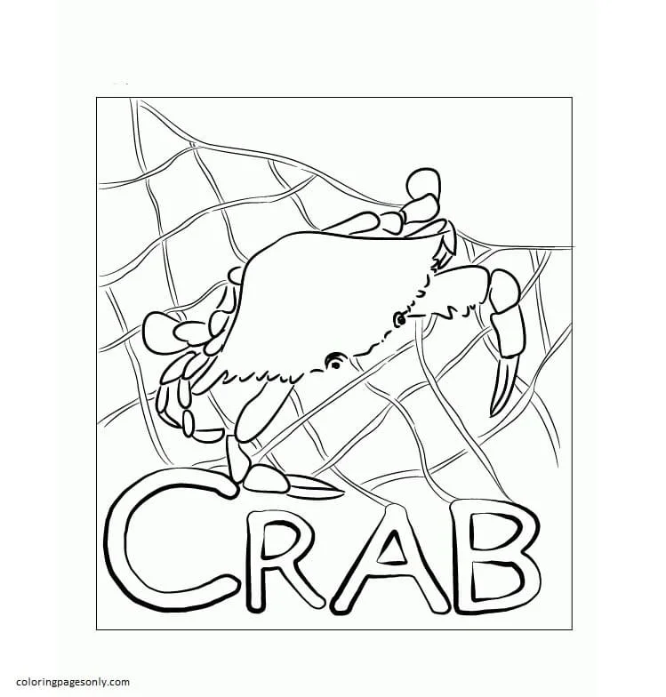 Crab Coloring Pages 20