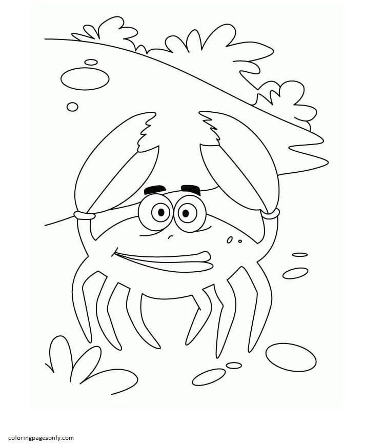 Desenhos de Caranguejo Para Colorir 50