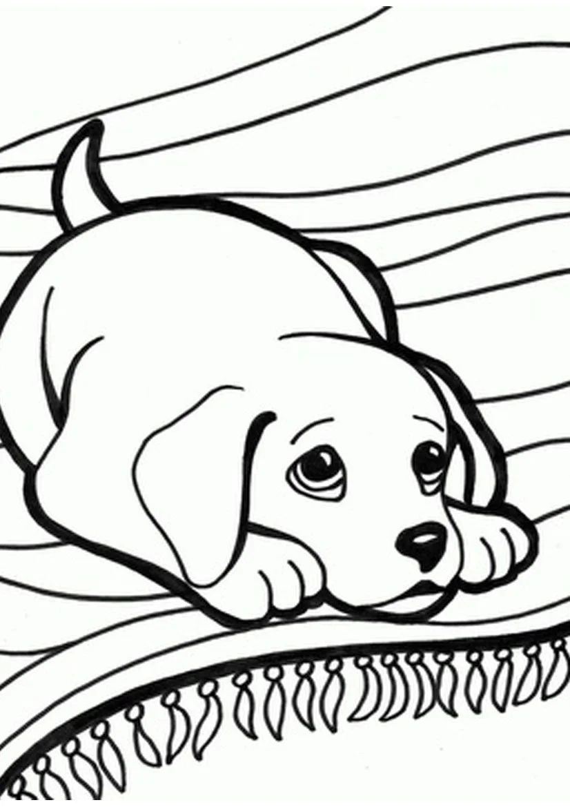 Cute Animal Coloring Pages 22