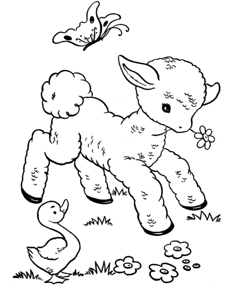 Cute Animal Coloring Pages 8