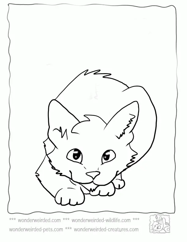 Cute Cat Coloring Pages 18