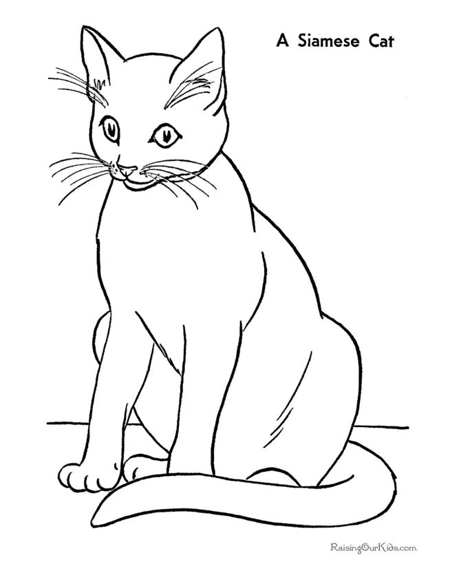 Cute Cat Coloring Pages 67