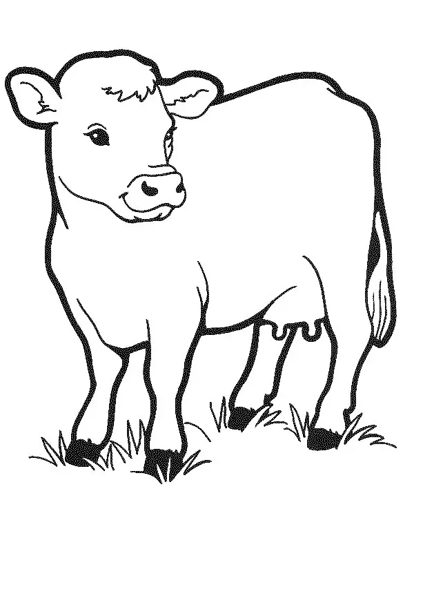 Cute Cow Coloring Pages 15