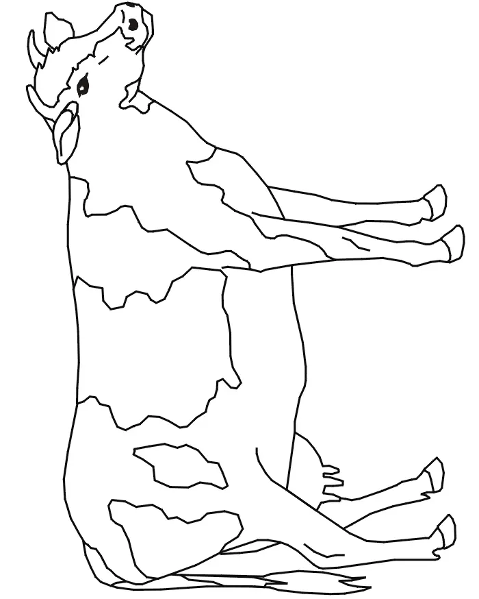 Cute Cow Coloring Pages 17