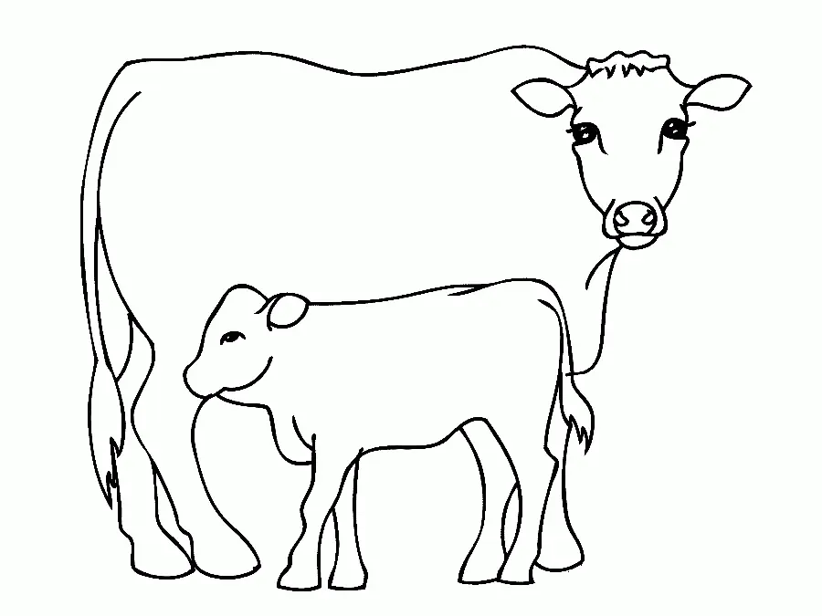 Cute Cow Coloring Pages 23