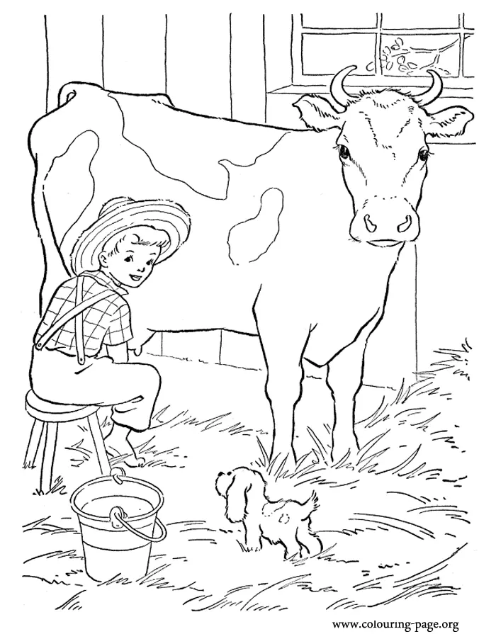 Cute Cow Coloring Pages 24