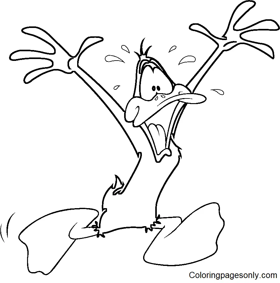 Daffy Duck Coloring Pages 23