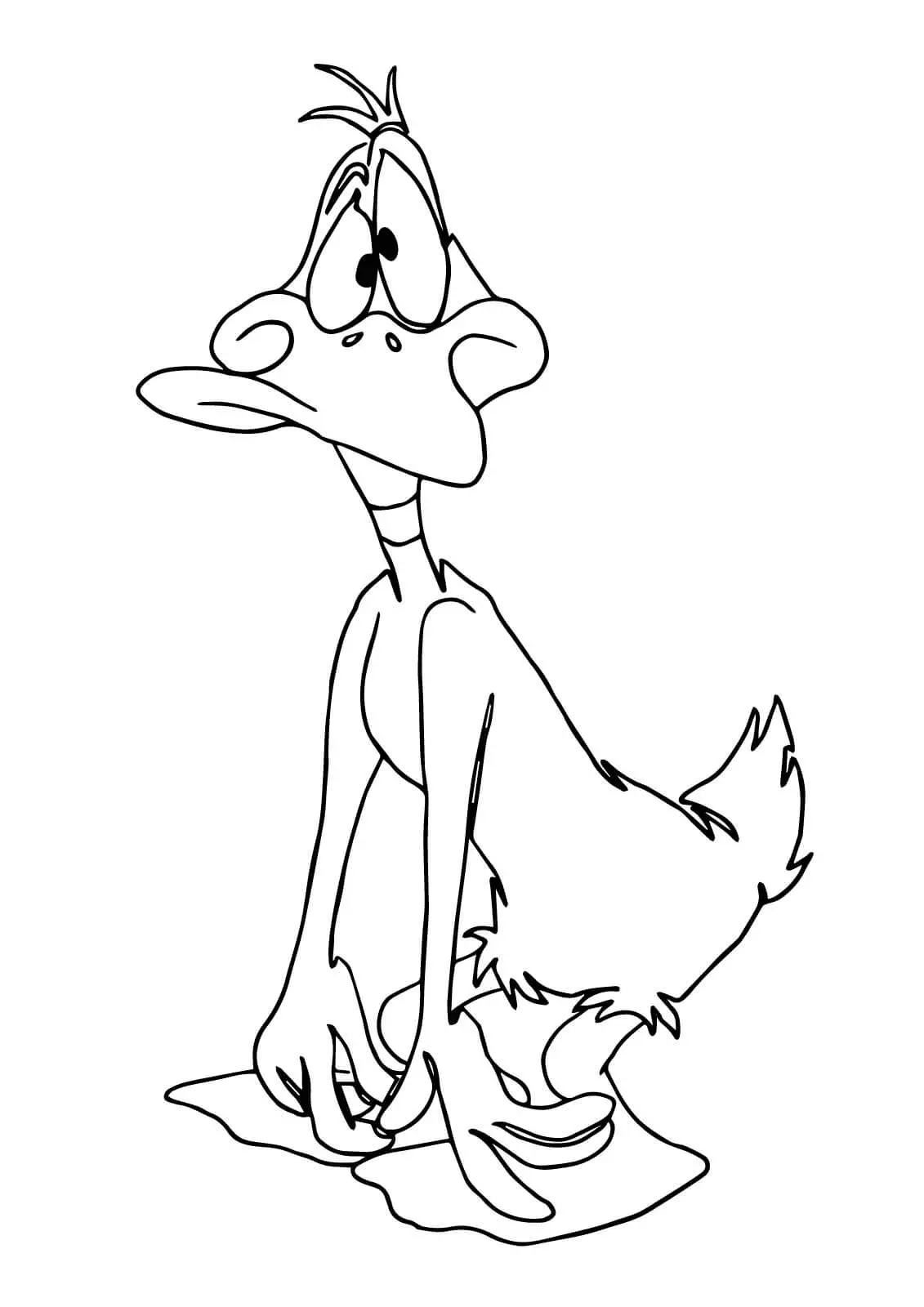 Daffy Duck Coloring Pages 3