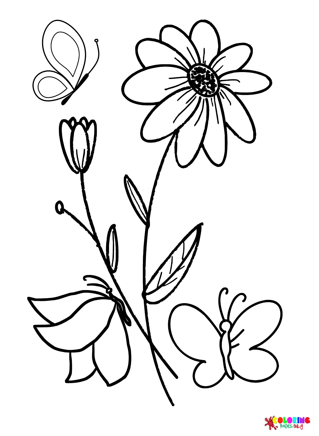 Daisy Coloring Pages