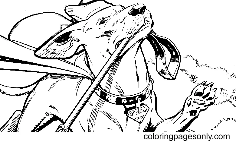 DC League of Super Pets Coloring Pages 7