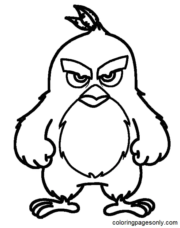 Desenhos de Angry Birds Filme Para Colorir 20