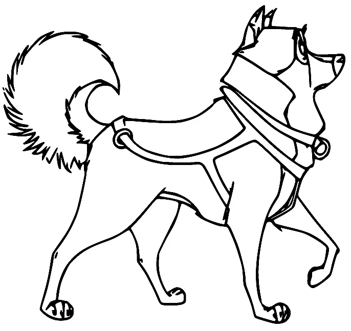 Desenhos de Balto Para Colorir 46