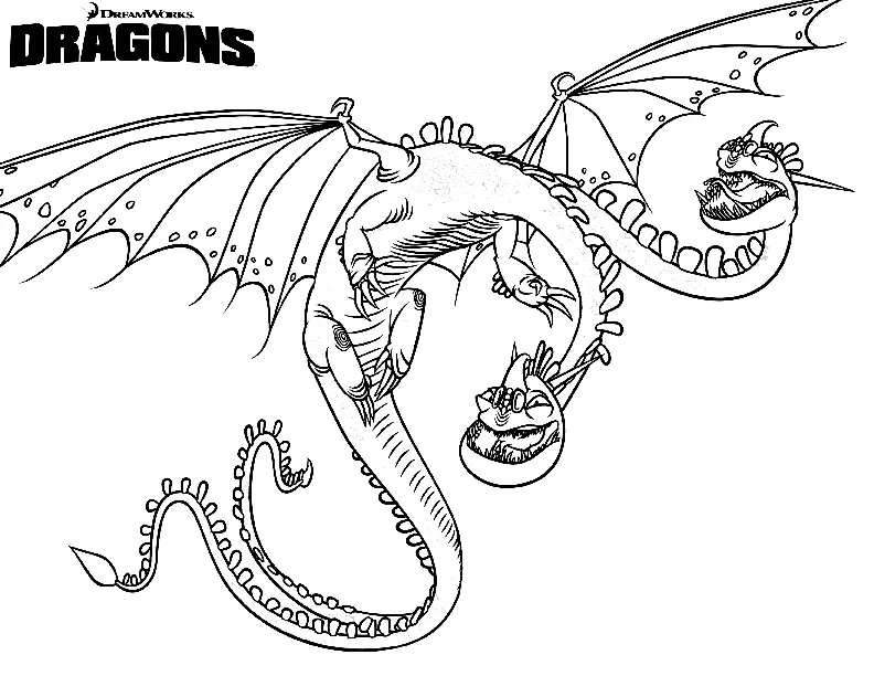 Desenhos de Como Treinar seu dragao Para Colorir 6