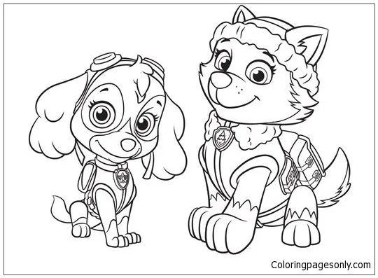 Desenhos de Everest patrulha canina Para Colorir 10