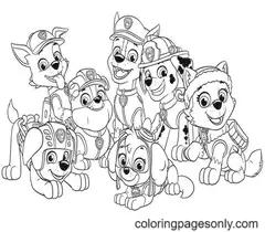 Desenhos de Everest patrulha canina Para Colorir 4