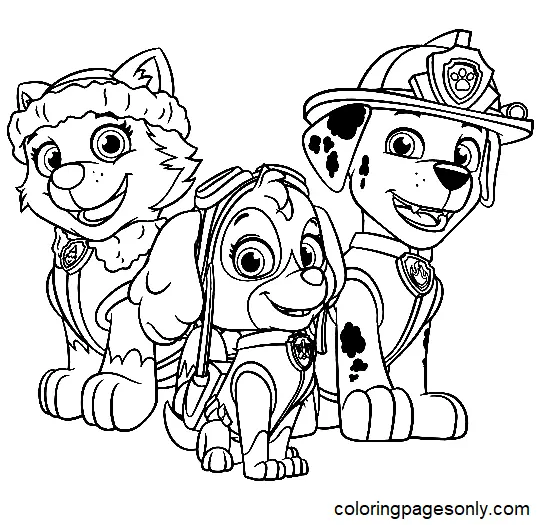 Desenhos de Everest patrulha canina Para Colorir 8