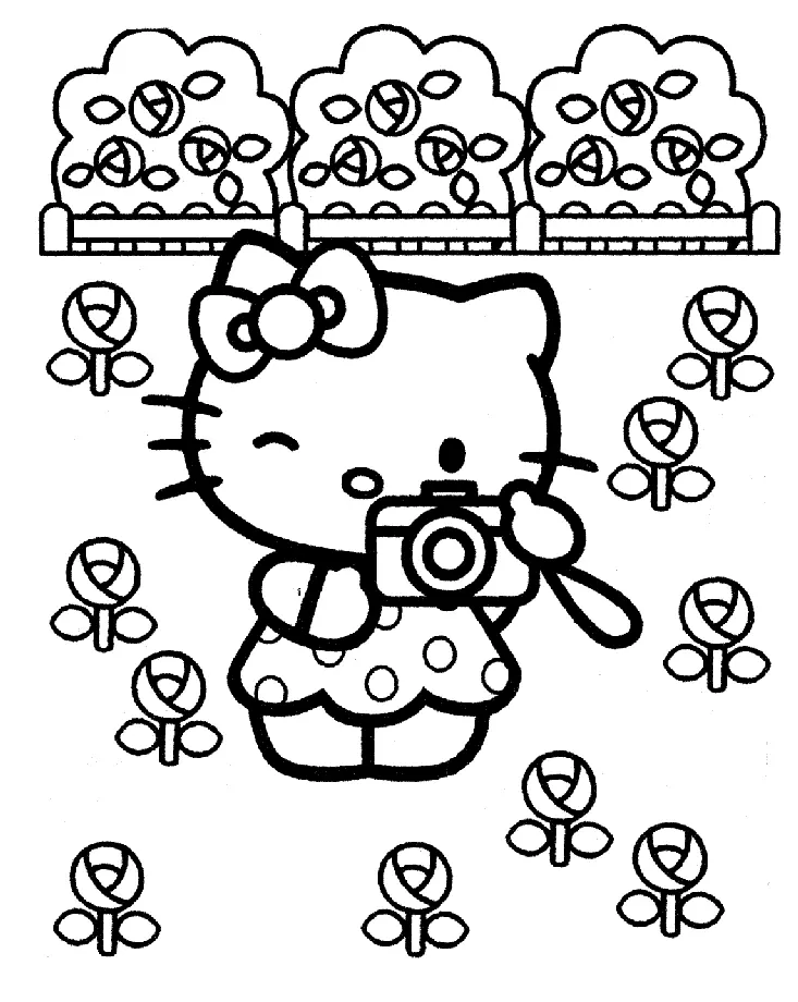 Desenhos de Hello Kitty e Seus Amigos Para Colorir 8