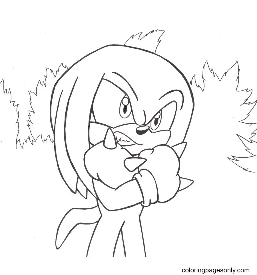 Desenhos de Knuckles Para Colorir 24