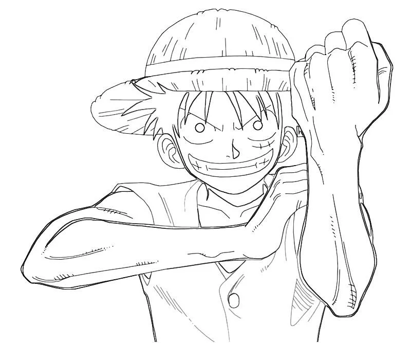 Desenhos de luffy one piece Para Colorir 11