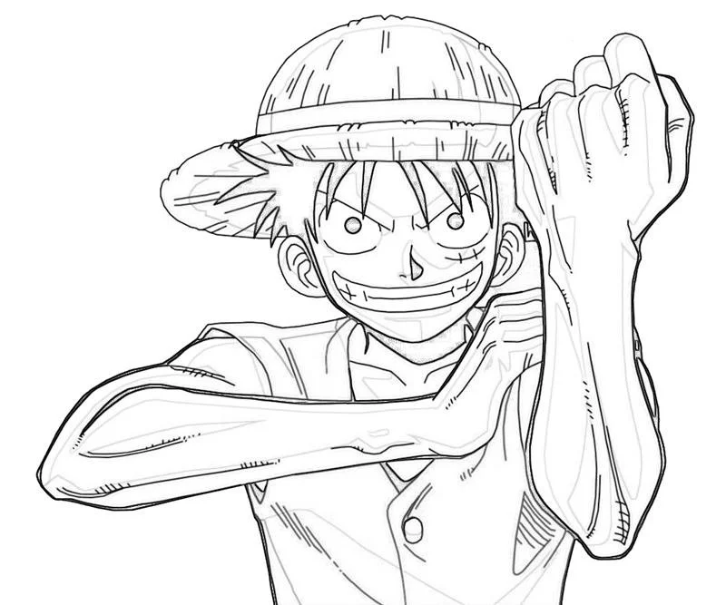 Desenhos de luffy one piece Para Colorir 3