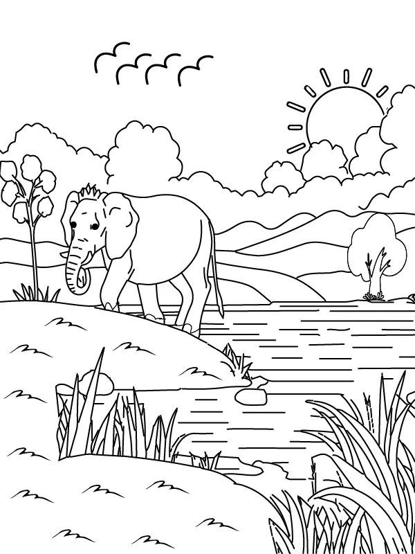 Desenhos de Paisagens naturais Para Colorir 2