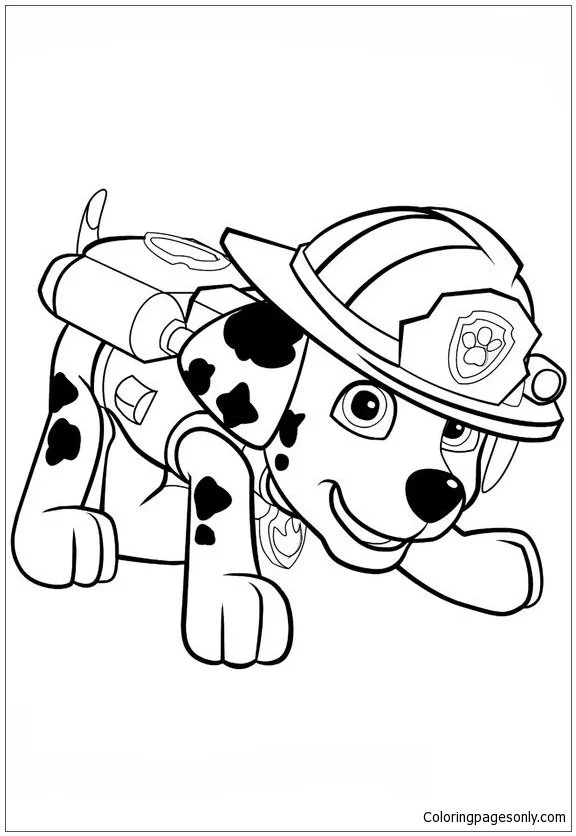 Desenhos de Patrulha Canina Marshall Para Colorir 46