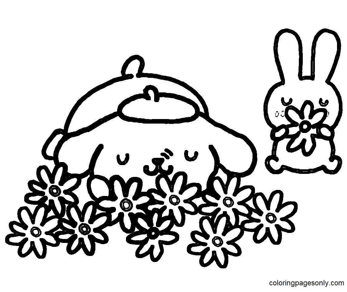 Desenhos de Pompompurin Para Colorir 42