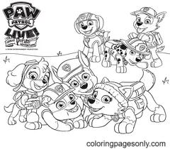 Desenhos de Rocky da Patrulha canina Para Colorir 1