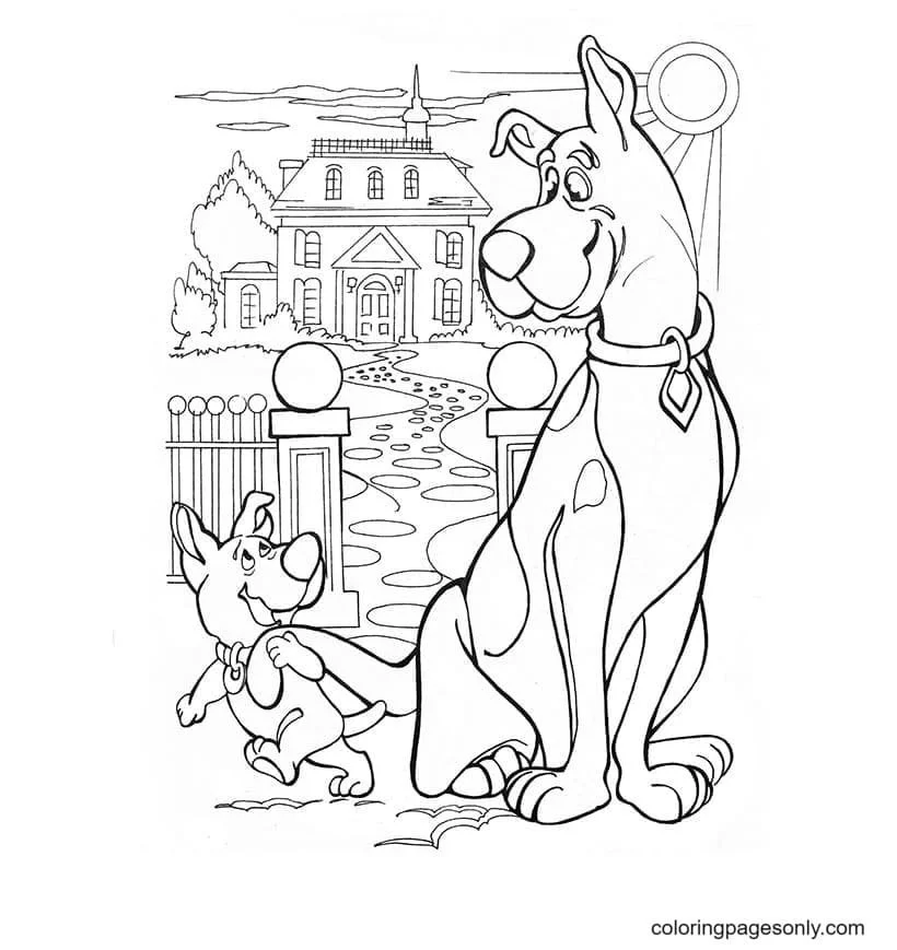 Desenhos de Scooby Doo Para Colorir 47