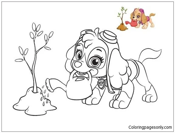 Desenhos de Skye de Patrulha Canina Para Colorir 18