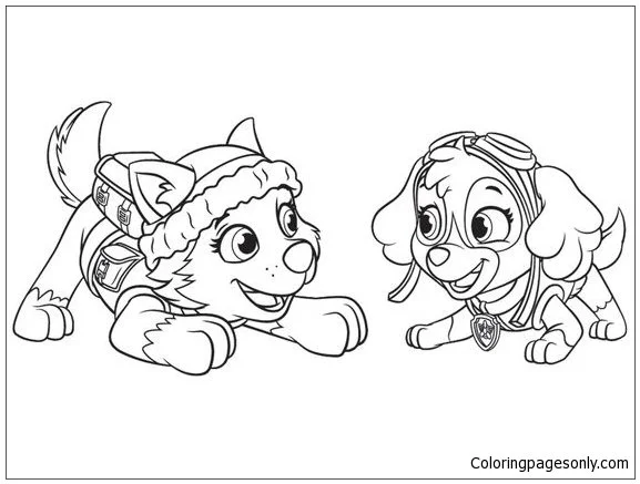 Desenhos de Skye de Patrulha Canina Para Colorir 30