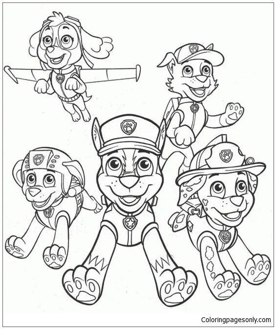 Desenhos de Skye de Patrulha Canina Para Colorir 34