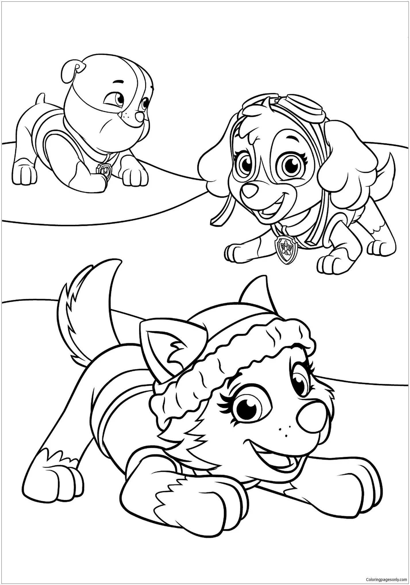 Desenhos de Skye de Patrulha Canina Para Colorir 37