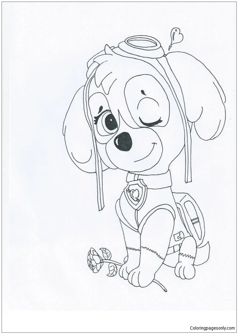 Desenhos de Skye de Patrulha Canina Para Colorir 41