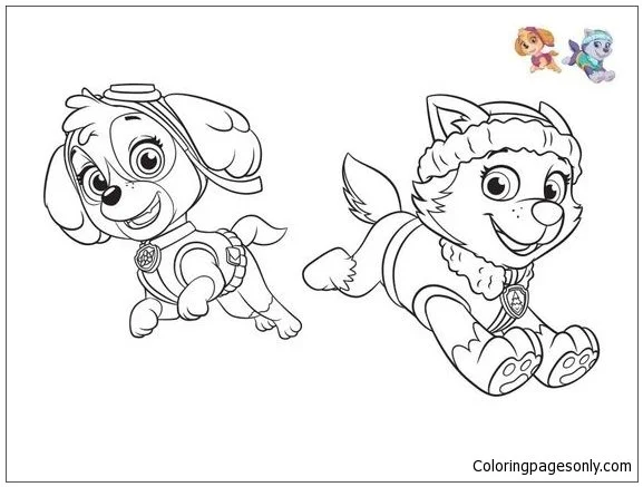 Desenhos de Skye de Patrulha Canina Para Colorir 42