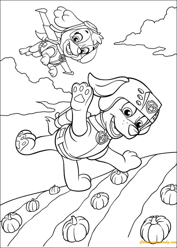 Desenhos de Skye de Patrulha Canina Para Colorir 48