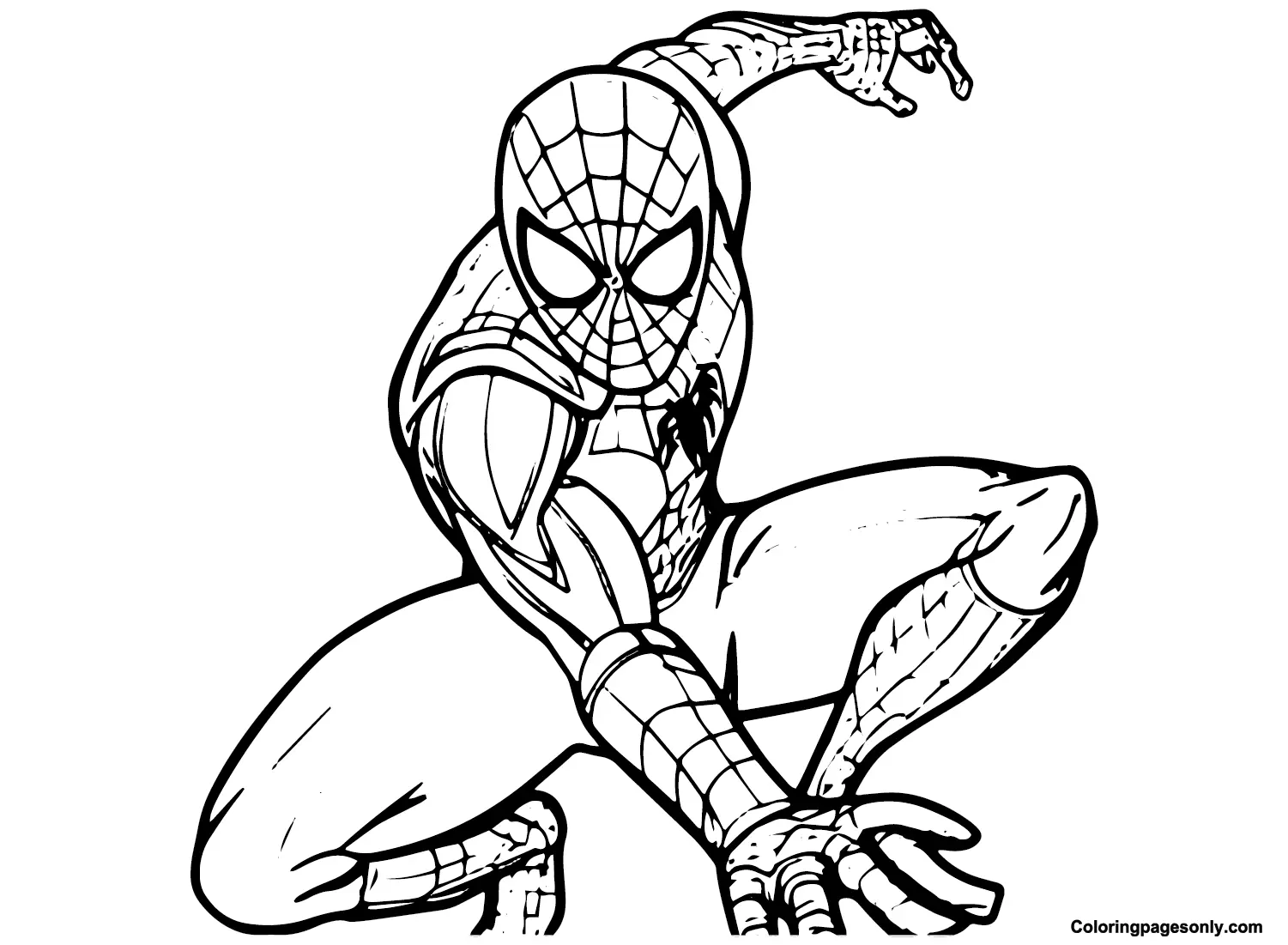 Desenhos de Spidey Para Colorir 18