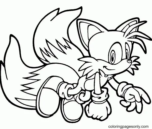 Desenhos de Tails Para Colorir 12